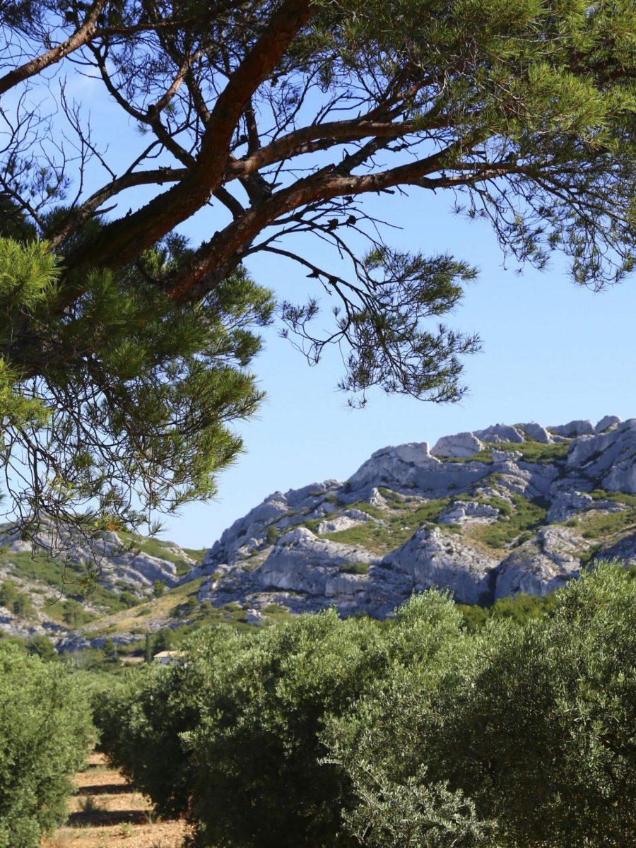 Randonnées Beausset