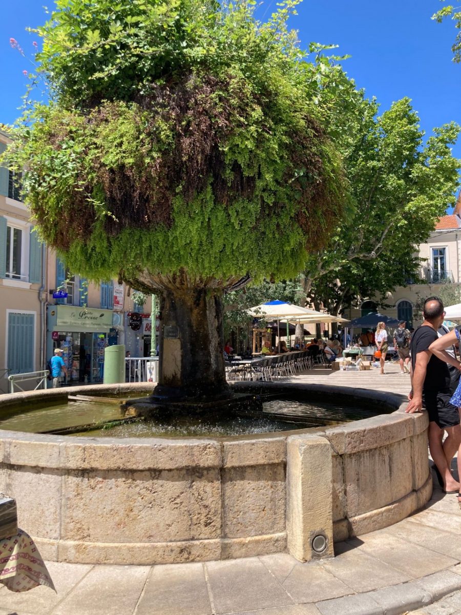Que faire au Beausset - Bandol