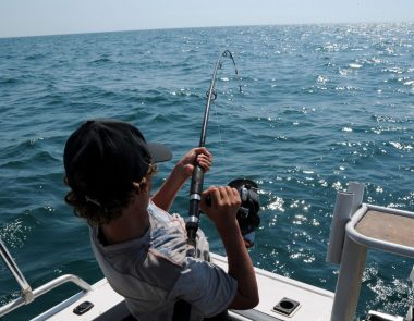Les activités insolites à Bandol et ses alentours