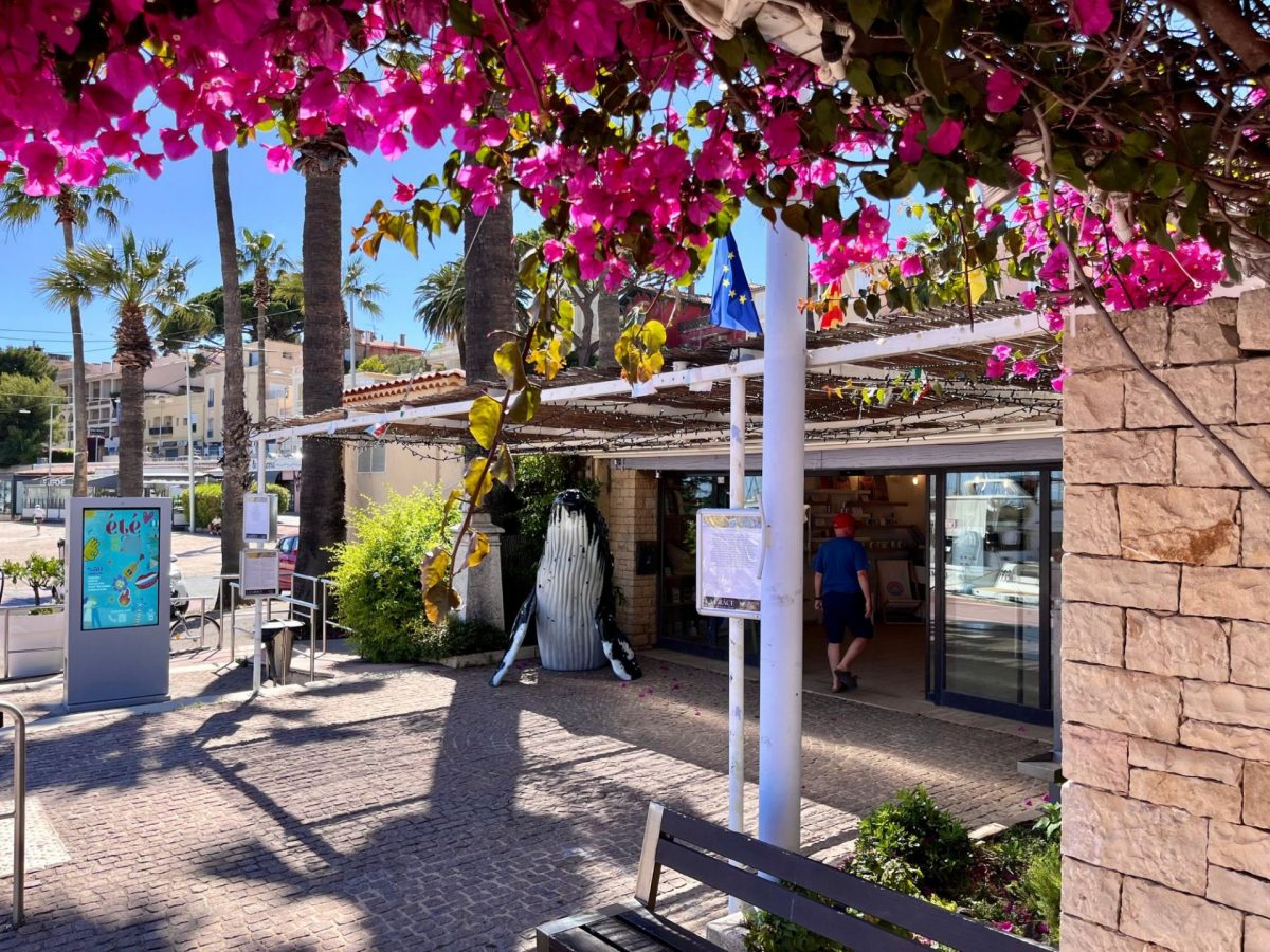 Bons plans de Bandol Tourisme 2025