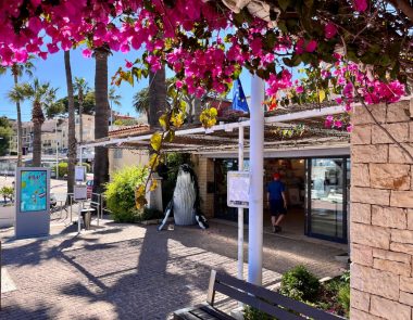 Les bons plans de Bandol Tourisme