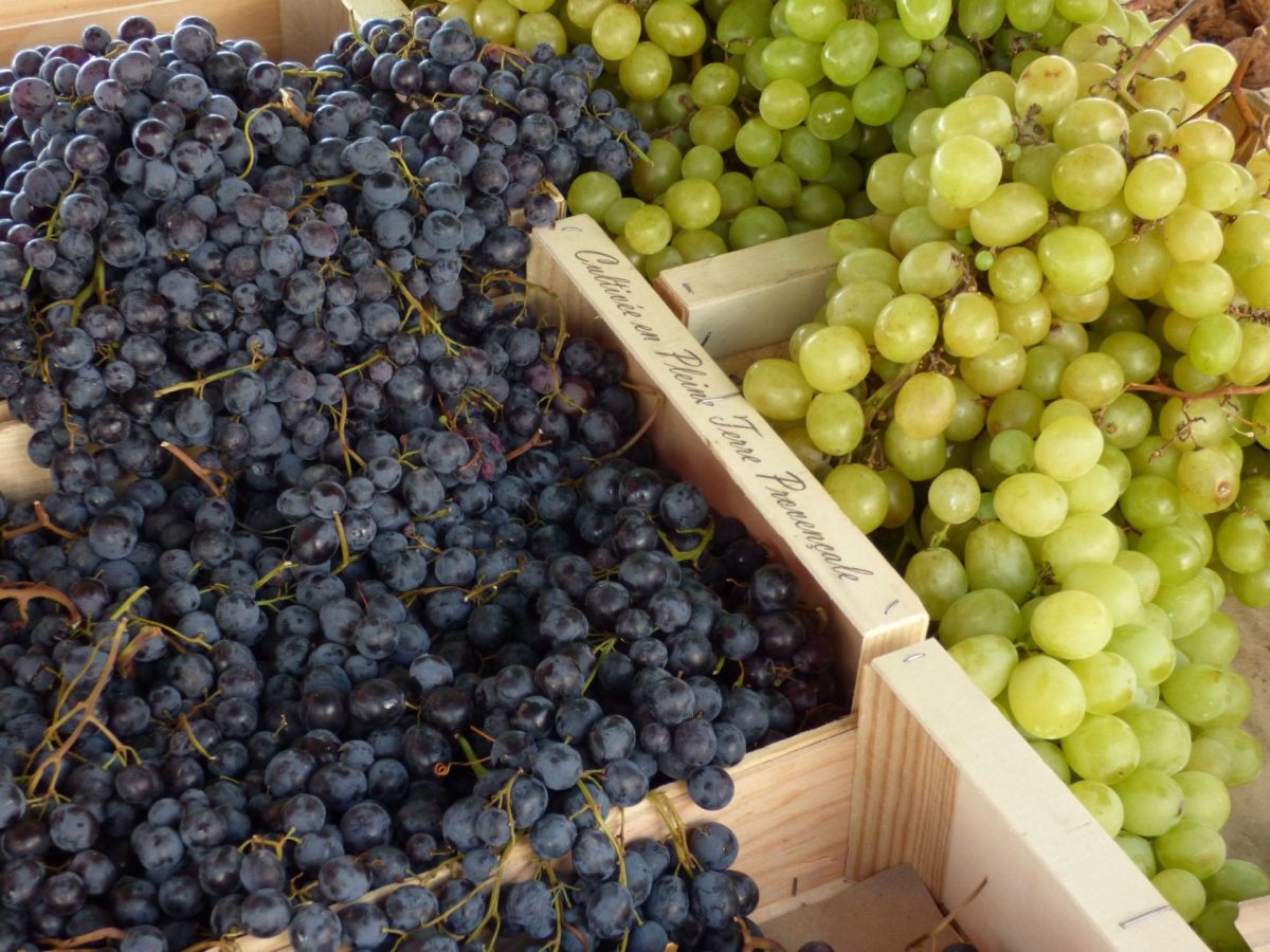Marchés automne Bandol