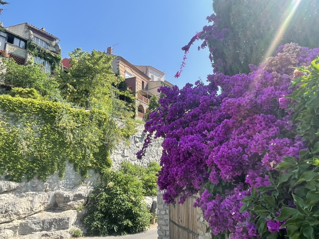 Visite guidée Castellet Bandol