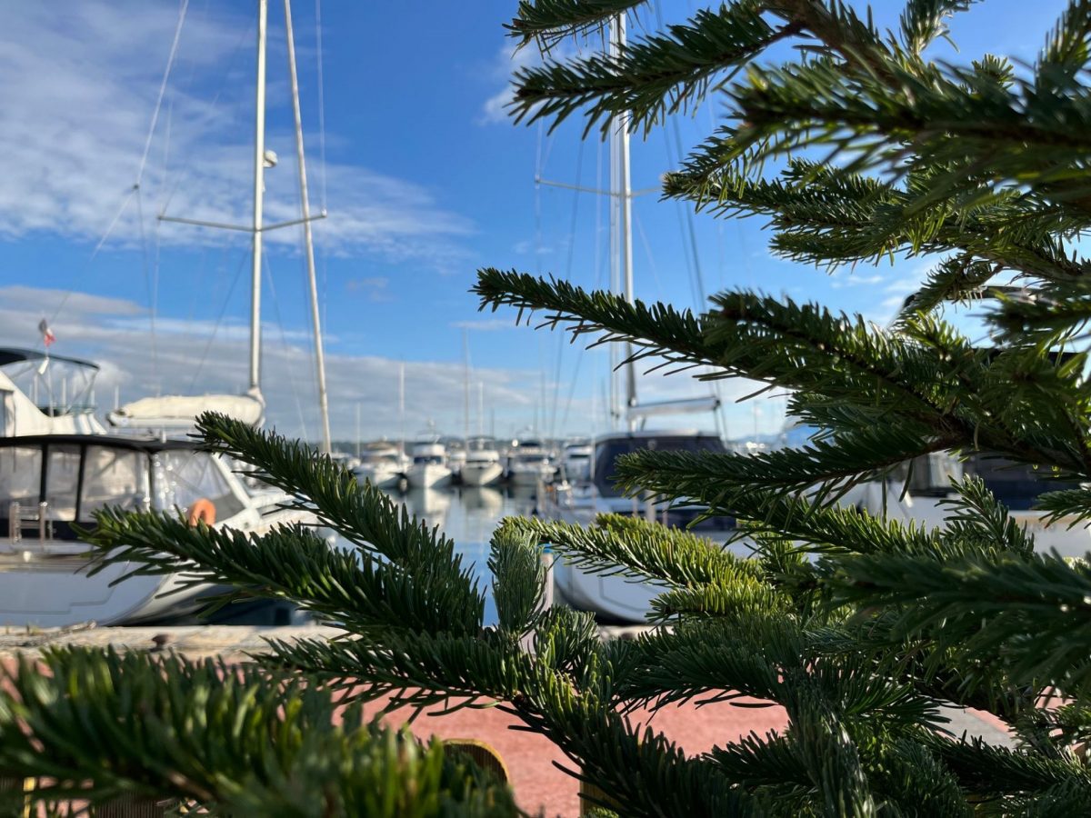 Boutique de Noël 2025 Bandol