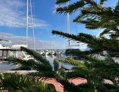 La boutique de Noël 2025 à Bandol
