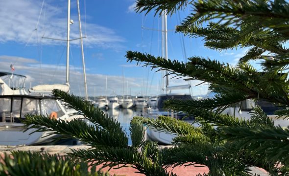 La boutique de Noël 2025 à Bandol