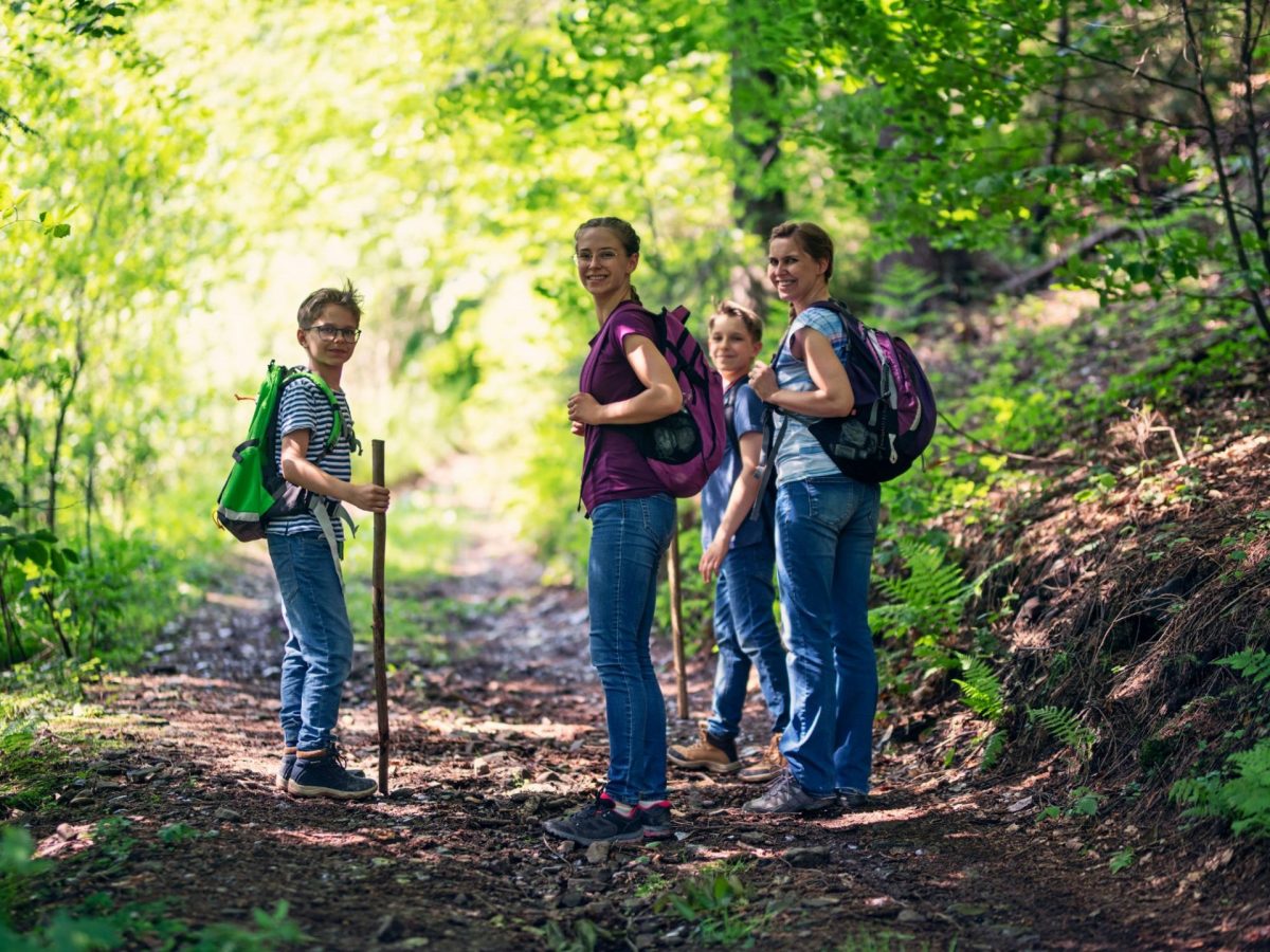 Randonnées Parc Naturel Régional Sainte-Baume