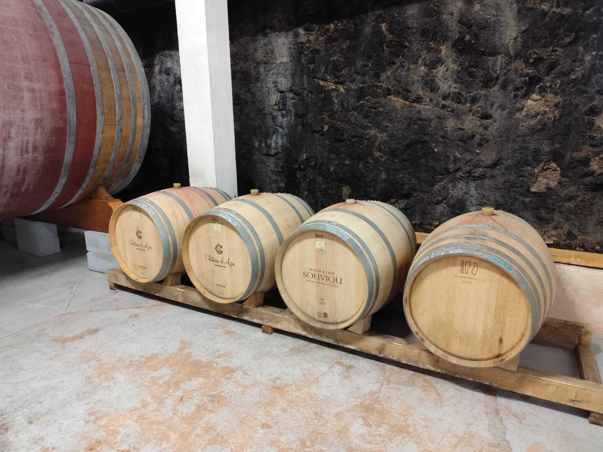 Domaine Souviou Le Beausset - Cuves