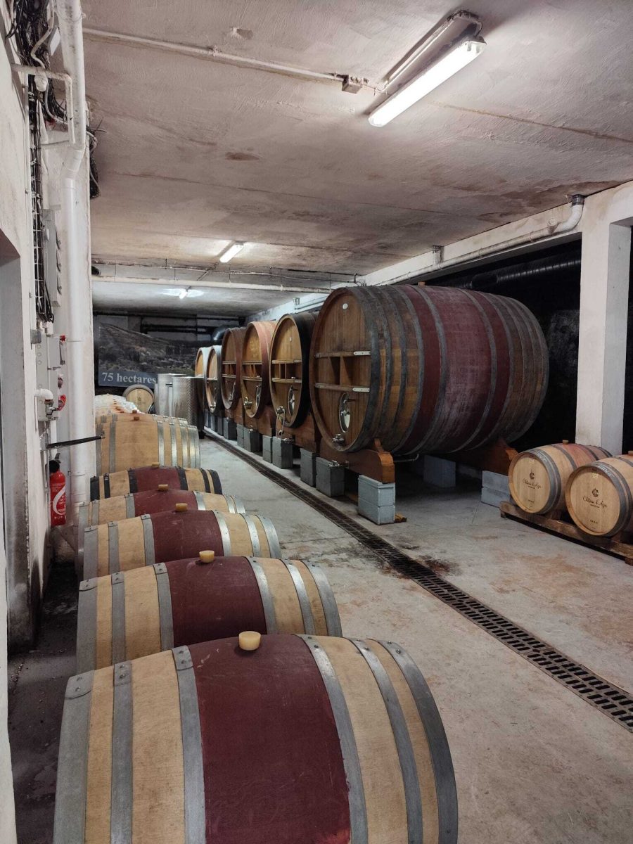 Domaine Souviou Le Beausset - Cave