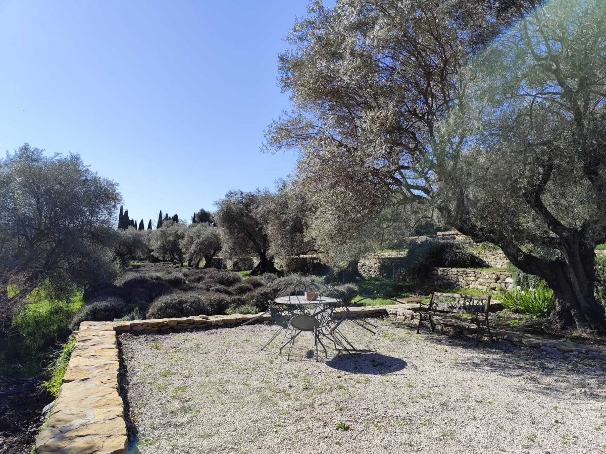 Domaine Souviou Le Beausset - Oliviers