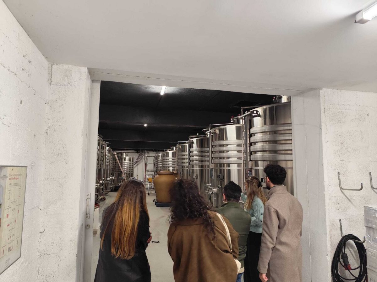 Domaine Souviou Le Beausset - Visite