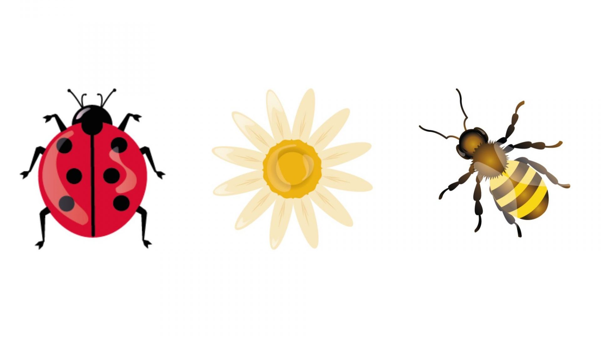 Les Cacarinettes - Jeu de piste printemps 2026 Bandol