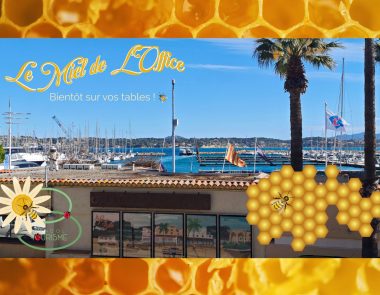 Le miel de Bandol Tourisme : de nouvelles locataires face à la mer !