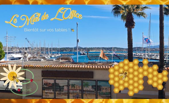 Le miel de Bandol Tourisme : de nouvelles locataires face à la mer !