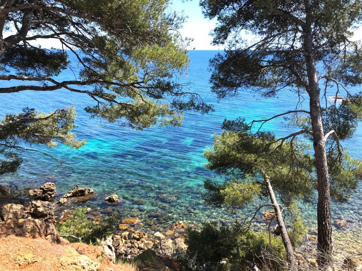Footing à Bandol - sentier du littoral