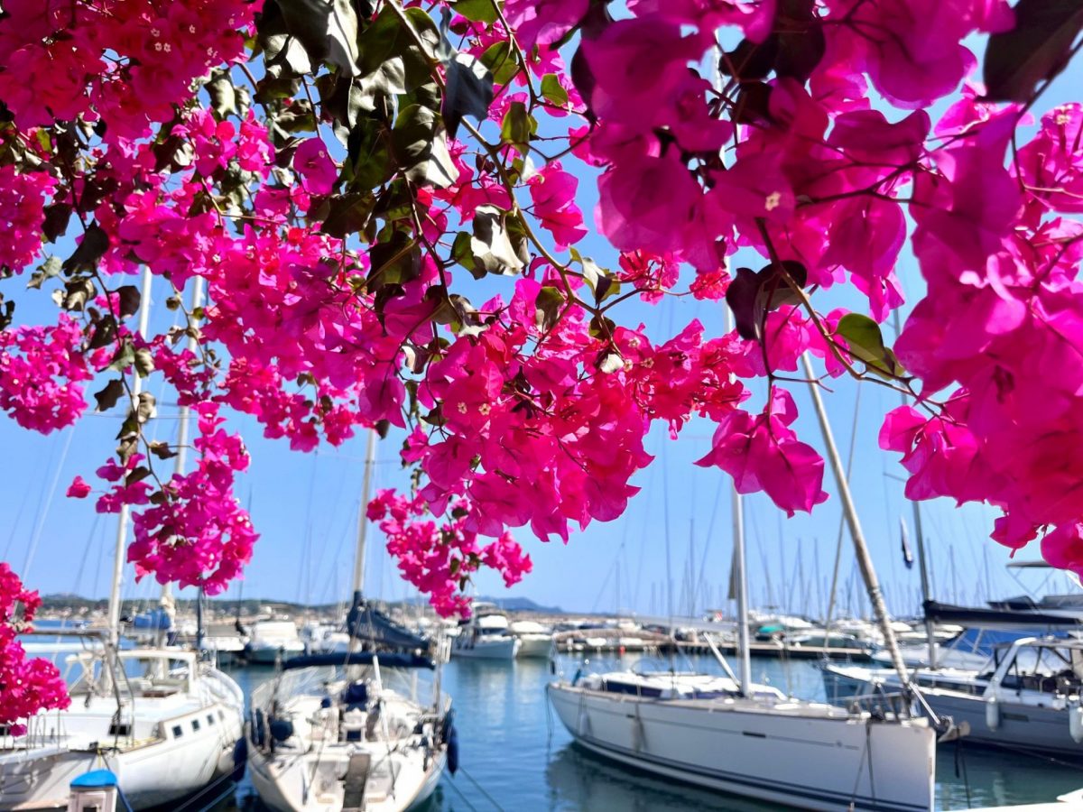 Parcours running à Bandol - le port