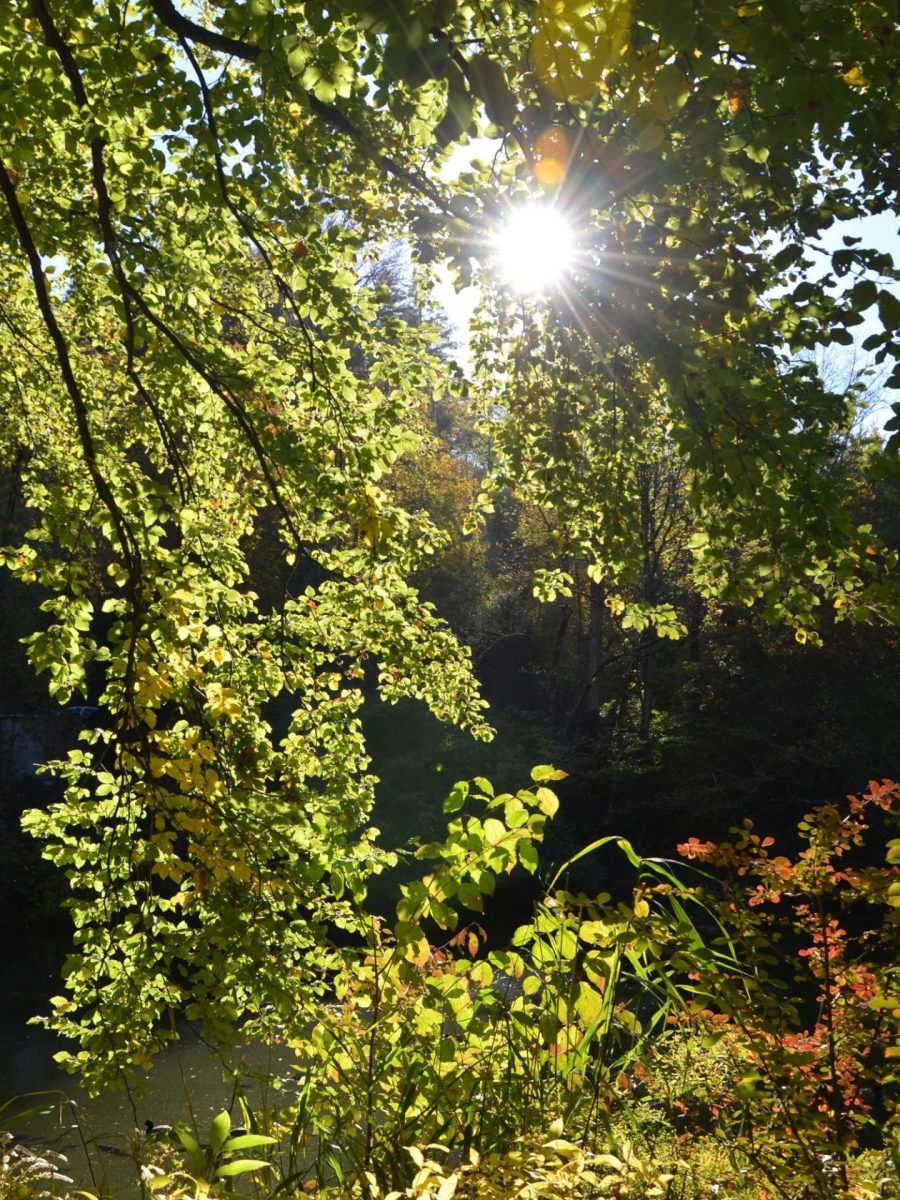 Visite arrière-pays Var - Riboux