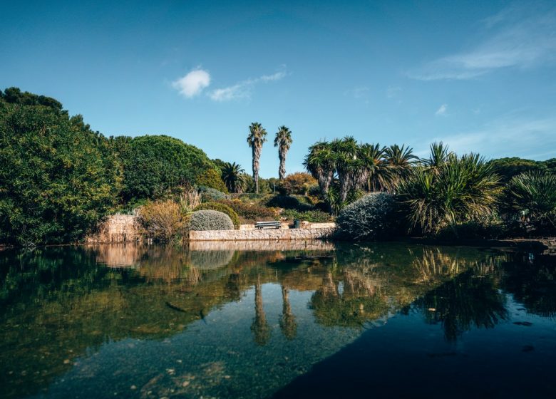 Parc de la Méditerranée