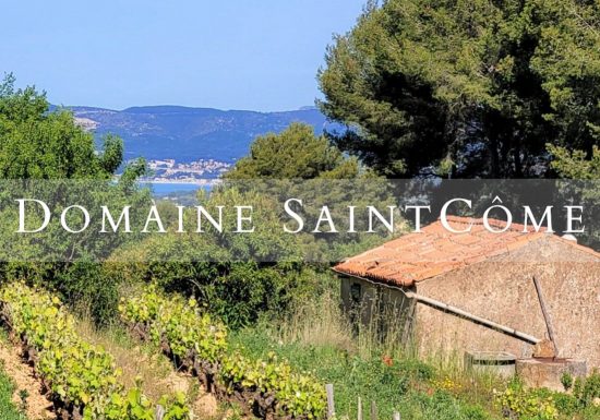 Domaine Saint Côme