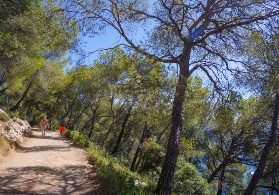 Trail Saint Cyr