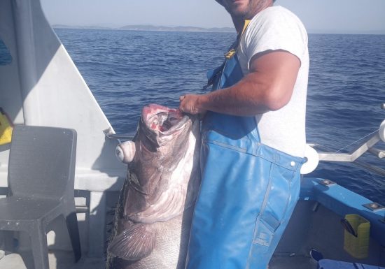 À bord du Nico – Nicolas Blanc