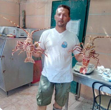 À bord du Nico – Nicolas Blanc