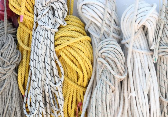 SDB DROGUERIE D’ANTAN