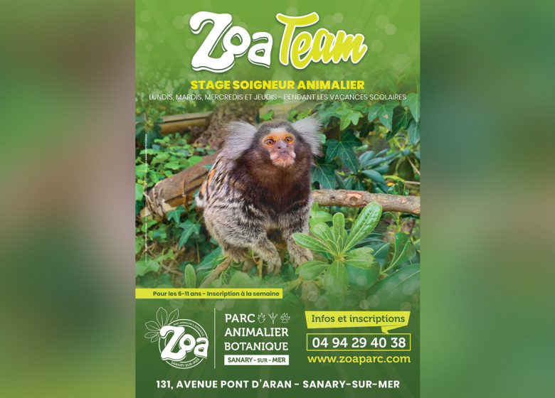 Stage Soigneur Animalier – ZOA Team
