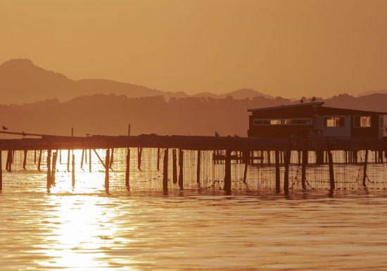 L’Huitrière de Tamaris : producteurs de coquillages