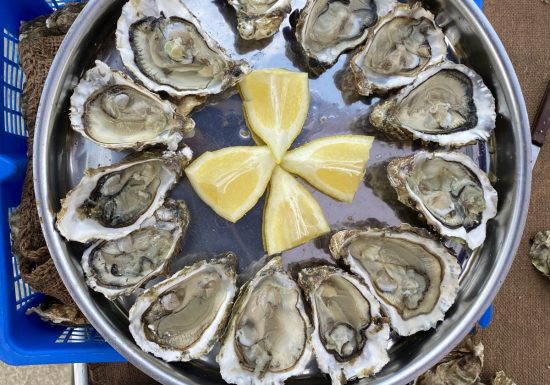 L’Huitrière de Tamaris : producteurs de coquillages