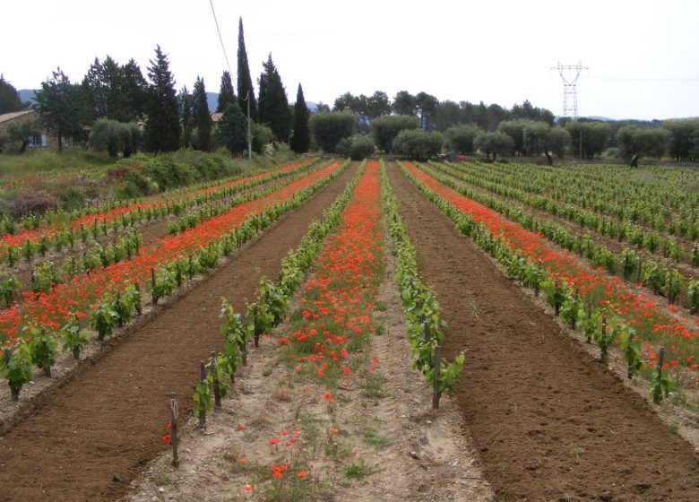 Bastide of La Ciselette