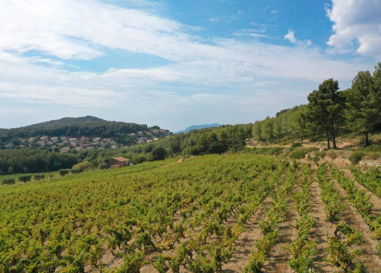 Saveurs et paysages