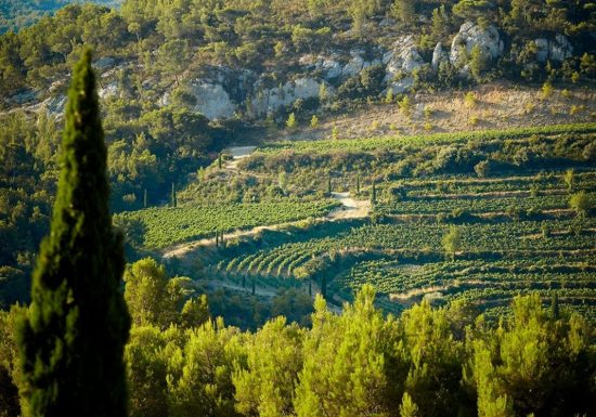 Maison des vins de Bandol