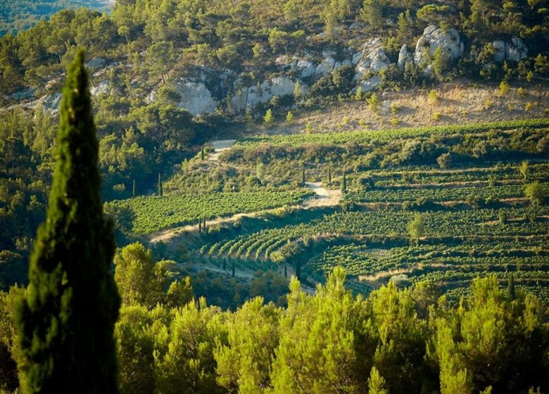 Bandol Weinhaus