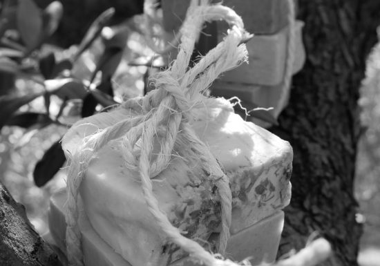 Le Savonnier des Calanques