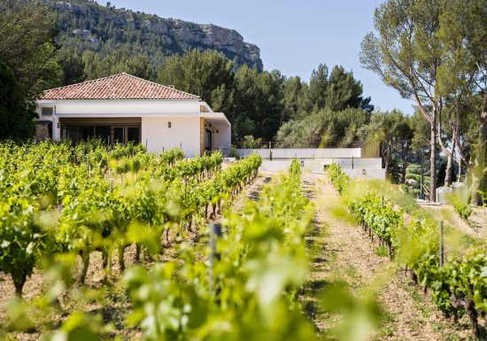 La Dona Tigana : visite d’un vignoble AOC et dégustation de 4 vins