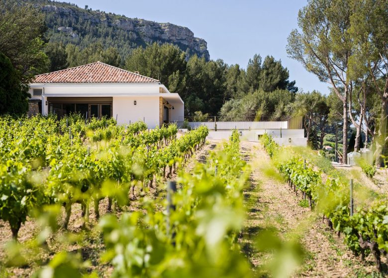 La Dona Tigana : visite d&rsquo;un vignoble AOC et dégustation de 4 vins