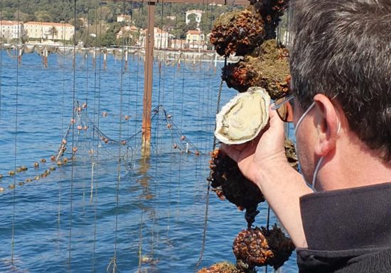 Les Perles de Tamaris