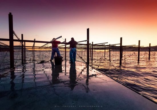 Les Perles de Tamaris