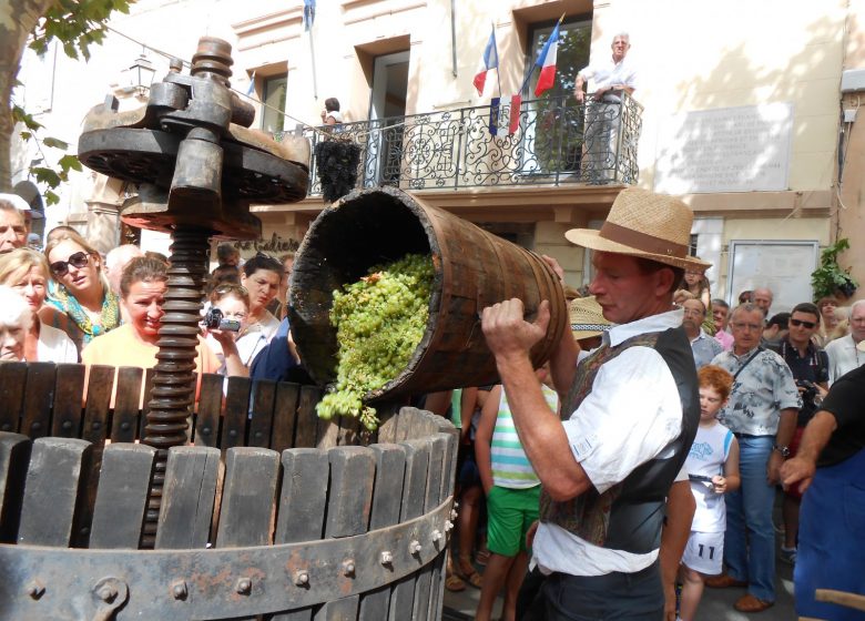 Fête des Vendanges