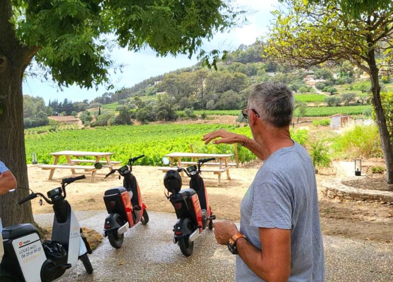 Balade au milieu des vignes