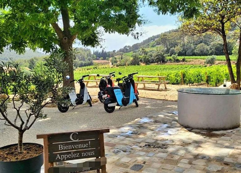 Balade au milieu des vignes