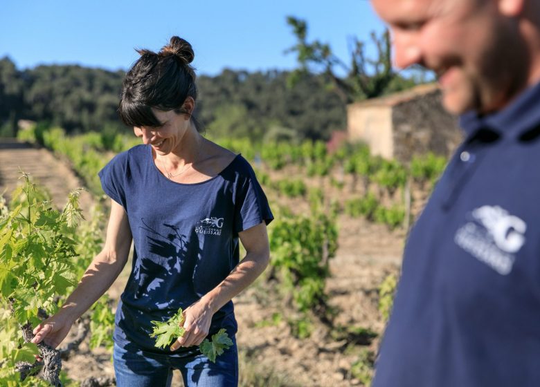 Les vignobles Gueissard