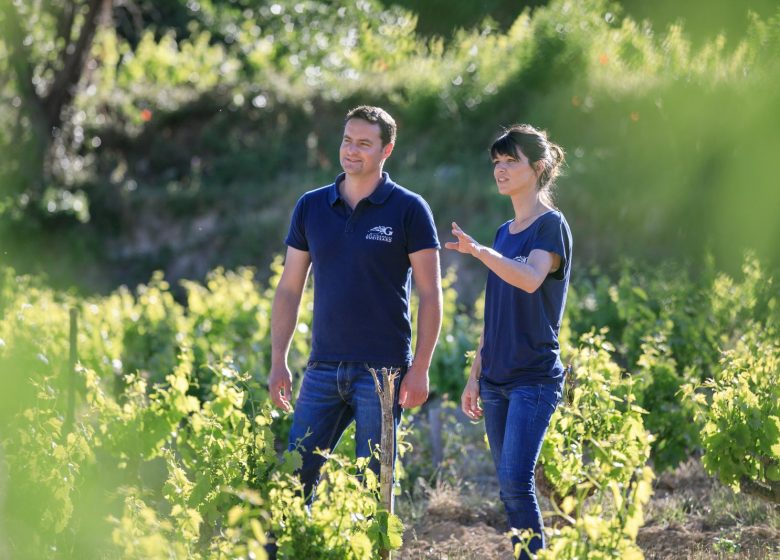 Les vignobles Gueissard