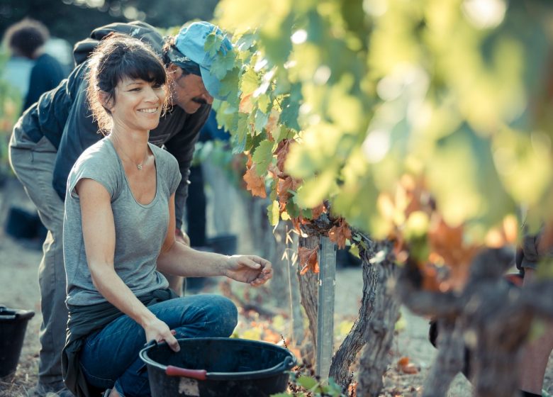 Les vignobles Gueissard