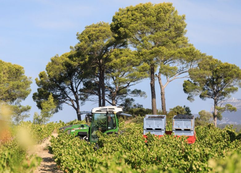 Les vignobles Gueissard