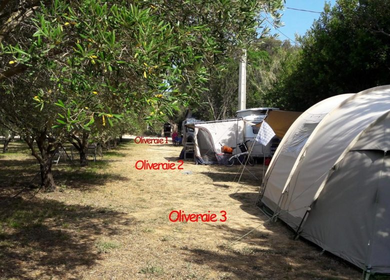 Camping in the garden of La Ferme