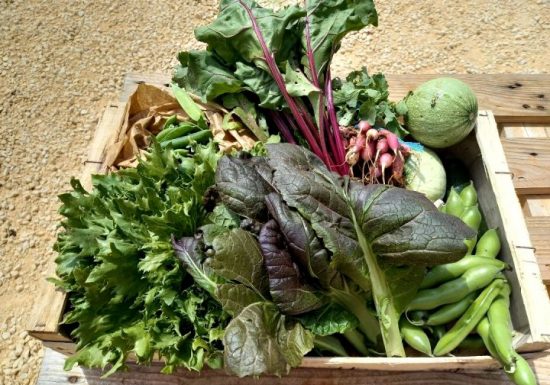 La Ferme des Petites Mains