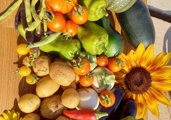 La Ferme des Petites Mains