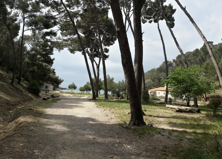 Port d'Alon campsite